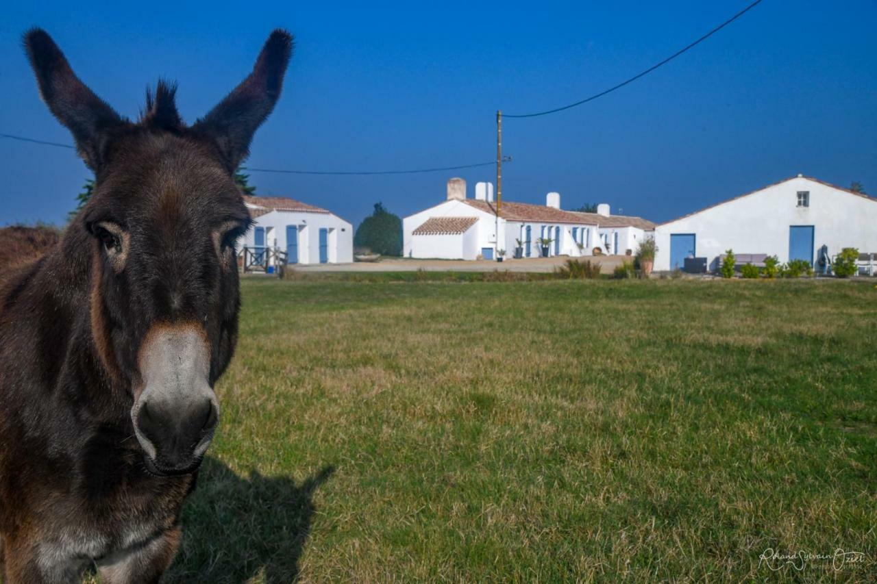 Gites De La Grande Borderie Saint-Gervais  エクステリア 写真